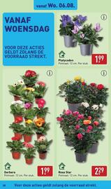 ALDI folder week 32 Pagina 29