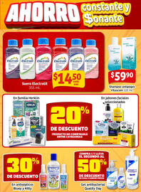 Catálogo Soriana Mercado Página 17