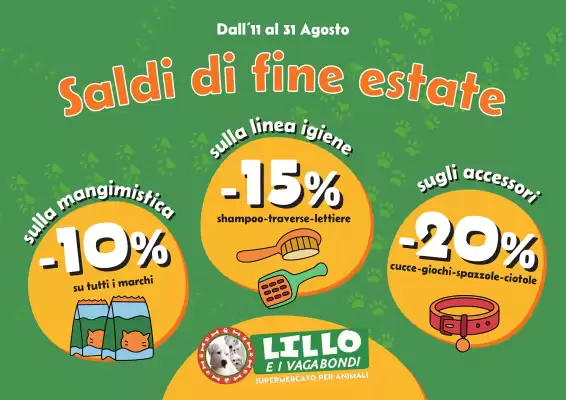 Volantino Lillo e i Vagabondi (valido fino al 31-08)
