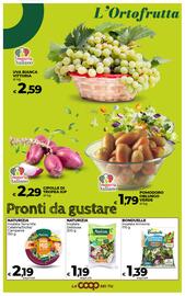 Volantino In Coop Pagina 16