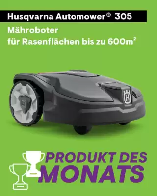 0815 Flugblatt