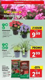 Lidl folder week 32 Pagina 26