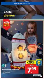 Lidl folder week 32 Pagina 42