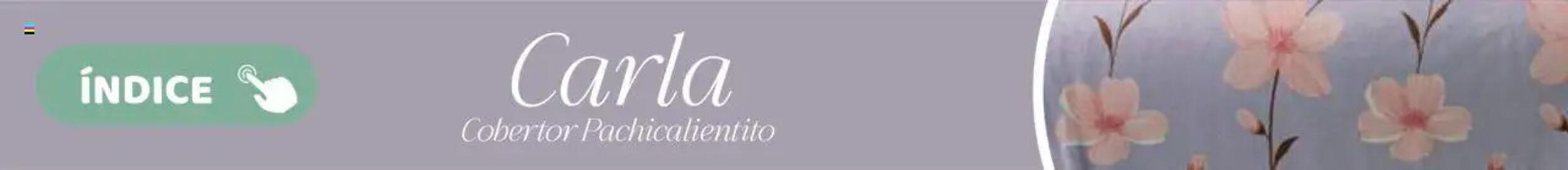 Catálogo Colchas Concord Página 724