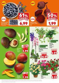 Kaufland gazetka Strona 17