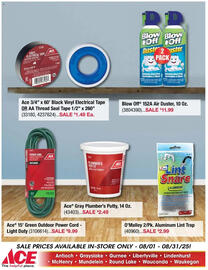 Ace Hardware Weekly Ad Page 11