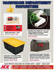 Ace Hardware Weekly Ad Page 13