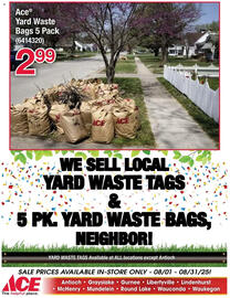 Ace Hardware Weekly Ad Page 16