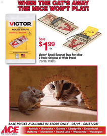 Ace Hardware Weekly Ad Page 17
