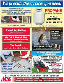 Ace Hardware Weekly Ad Page 18