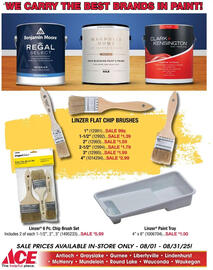 Ace Hardware Weekly Ad Page 2