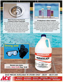 Ace Hardware Weekly Ad Page 3