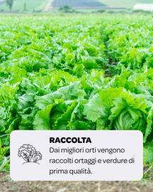 Volantino Ekom settimana 31 Pagina 2