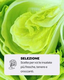 Volantino Ekom settimana 31 Pagina 3