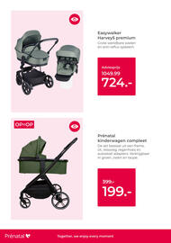 Prenatal folder week 32 Pagina 6
