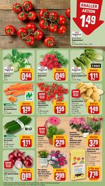 REWE Prospekt woche 32 Seite 7