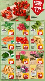 REWE tilbudsavis uge 32 Side 5