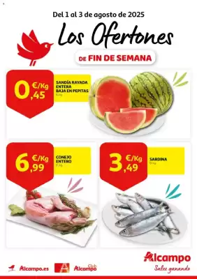 Folleto Alcampo (válido hasta el 3-08)