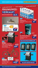 Aldi Süd Prospekt woche 34 Seite 36