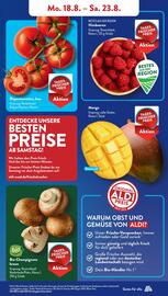 Aldi Süd Prospekt woche 34 Seite 5