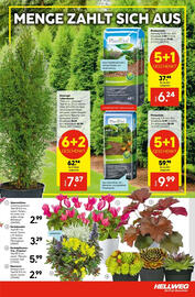 Hellweg Prospekt woche 32 Seite 3