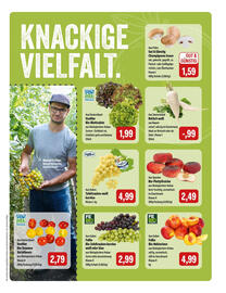 Feneberg Prospekt Seite 5
