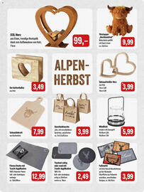 Feneberg Prospekt Seite 8