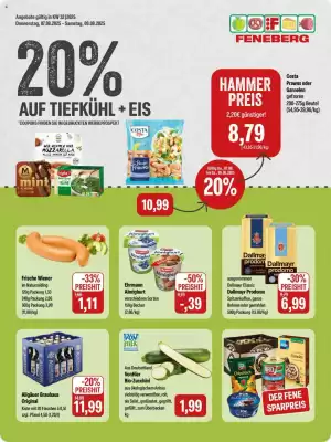 Feneberg Prospekt (gültig bis 9-08)