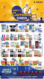 Catálogo Supermercados Avenida Página 8