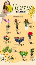 Catálogo Giassi Supermercados semana 31 Página 1