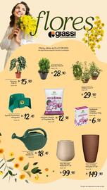 Catálogo Giassi Supermercados semana 31 Página 2