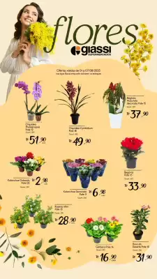 Catálogo Giassi Supermercados (válido até 7-08)