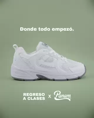 Catálogo Panam (válido hasta 15-08)