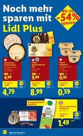 Lidl Flugblatt woche 32 Seite 13