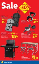 Lidl Flugblatt woche 32 Seite 19