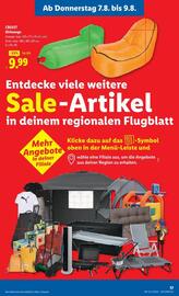 Lidl Flugblatt woche 32 Seite 20