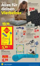 Lidl Flugblatt woche 32 Seite 23