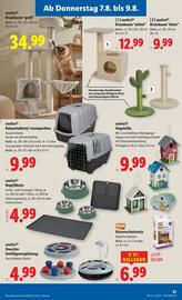 Lidl Flugblatt woche 32 Seite 24