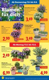 Lidl Flugblatt woche 32 Seite 27