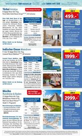Lidl Flugblatt woche 32 Seite 29