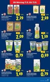 Lidl Flugblatt woche 32 Seite 40