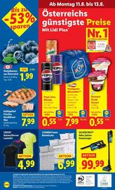 Lidl Flugblatt woche 32 Seite 45