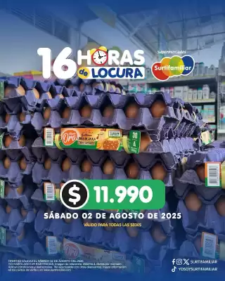 Catálogo Surtifamiliar (válido hasta 2-08)