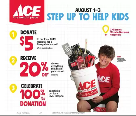 Ace Hardware Weekly Ad (valid until 26-08)