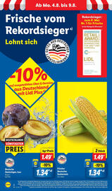 Lidl Prospekt woche 32 Seite 2