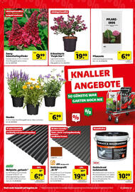Hagebau Prospekt woche 31 Seite 4