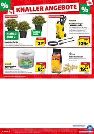 Hagebau Prospekt woche 31 Seite 8