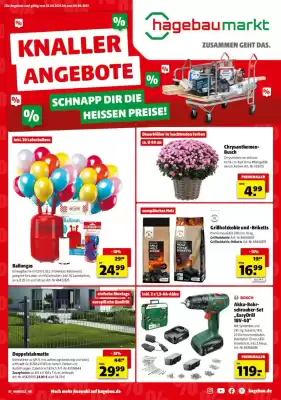 Hagebau Prospekt (gültig bis 9-08)