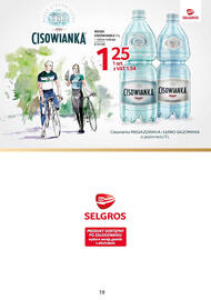 Selgros gazetka Strona 19
