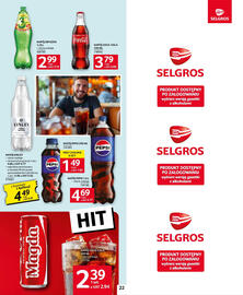 Selgros gazetka Strona 22